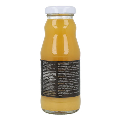Succo d'arancia biologico Delizum 200 ml