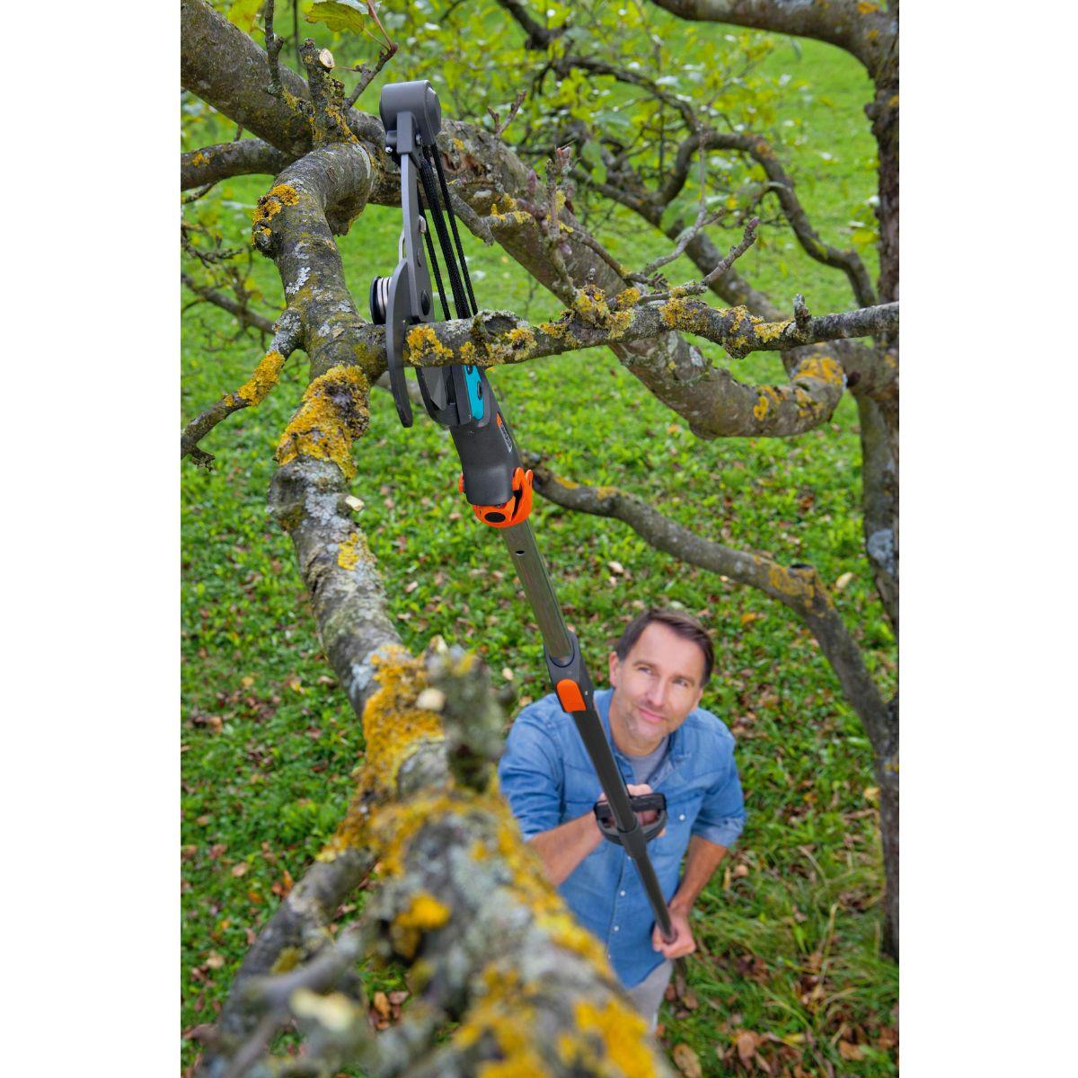 Combisystem Pole Pruner