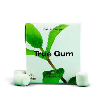 Chewing-gum sans plastique à la menthe fraîche True Gum 21 g