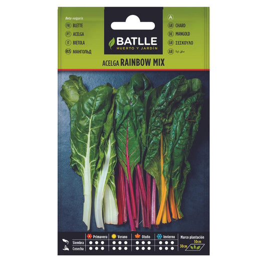 Rainbow Mix Batlle mangoldfrön