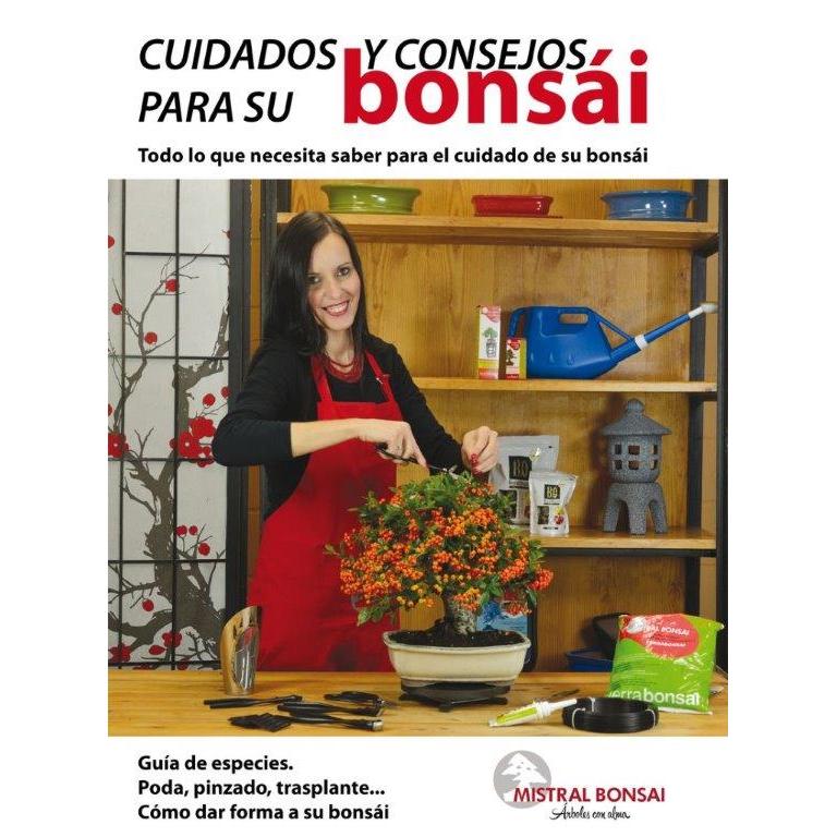 Pflegeanleitung und Tipps für Ihren Bonsai
