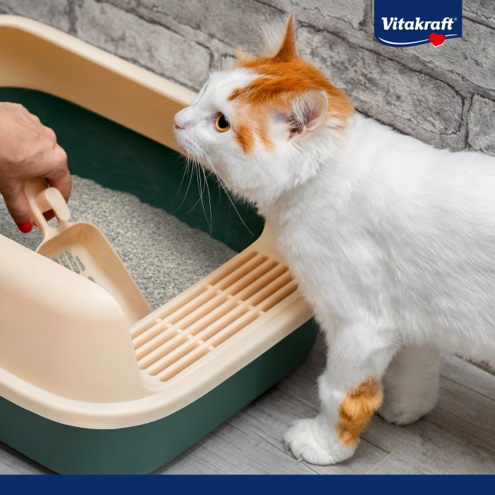 Vitakraft Compact Ultra Clumping Litter 4 L