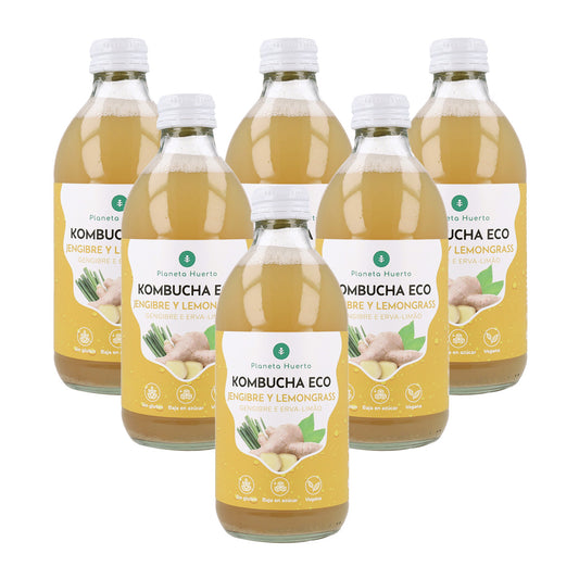 Confezione 6x Kombucha ECO Zenzero e citronella Planeta Huerto 330 ml
