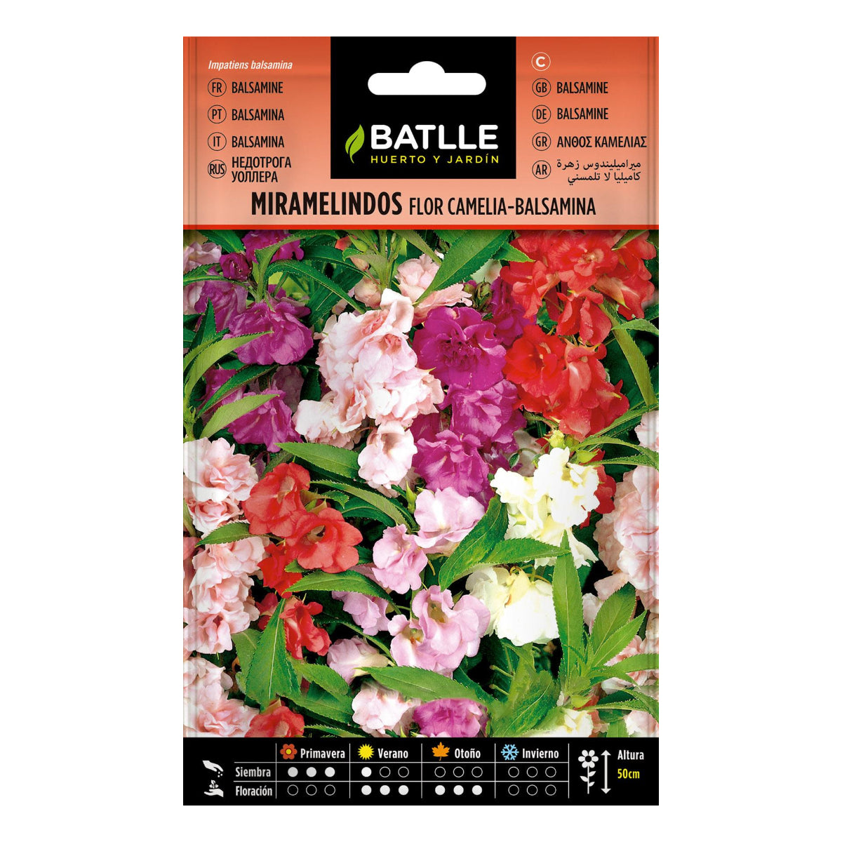 Camelia Balsamia Batlle Miramelindos Flower Seeds