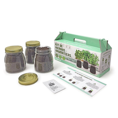 Kit per piantare le aromatiche TOP nella tua cucina: basilico, prezzemolo e menta, Garden Pocket