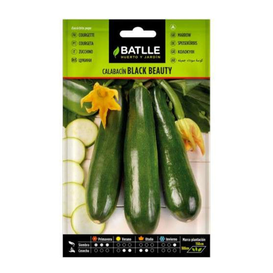 Zucchinisamen Black Beauty Cultivers Batlle