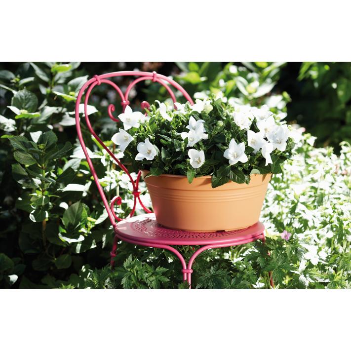 Bol rond Green Basics Elho Anthracite 27 cm