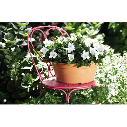 Bol rond Green Basics Elho Anthracite 27 cm