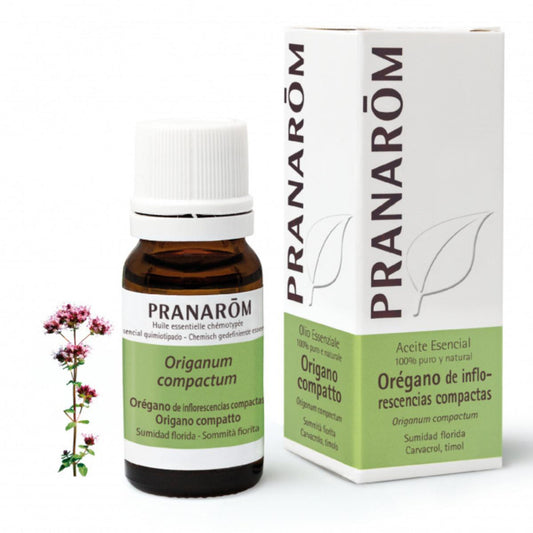 Aceite esencial óregano de inflorescencias, Pranarôm 10 ml