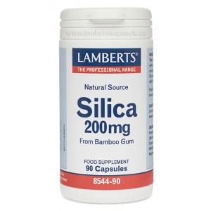 Silizium 90 Kapseln Lamberts 200 mg