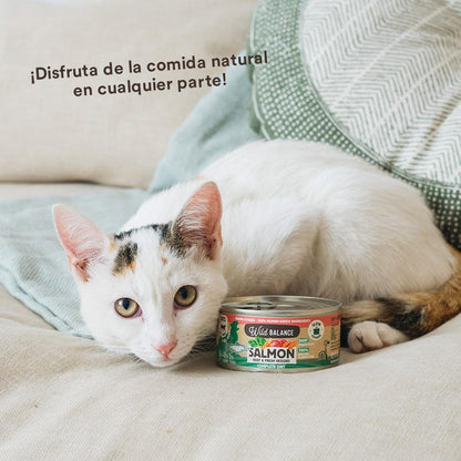 Boîte de saumon et de bœuf BARF pour chats Wild Balance 120 g