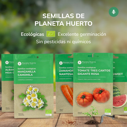 Semillas de Pimiento dulce italiano ecológicas Planeta Huerto