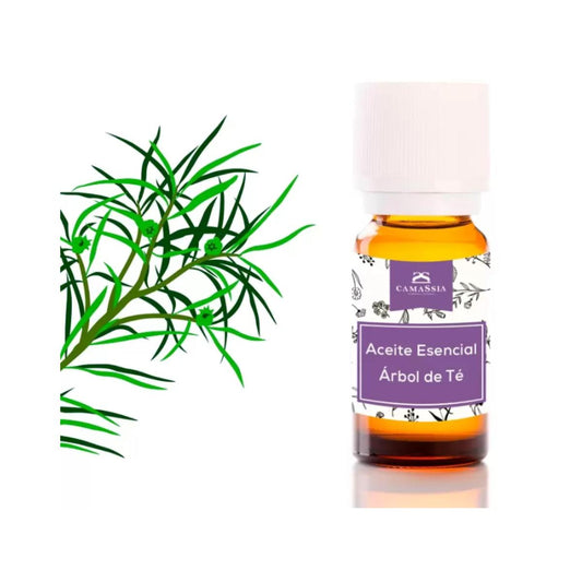 Olio essenziale di melaleuca (Melaleuca Alternifoli). Camassia 30 ml