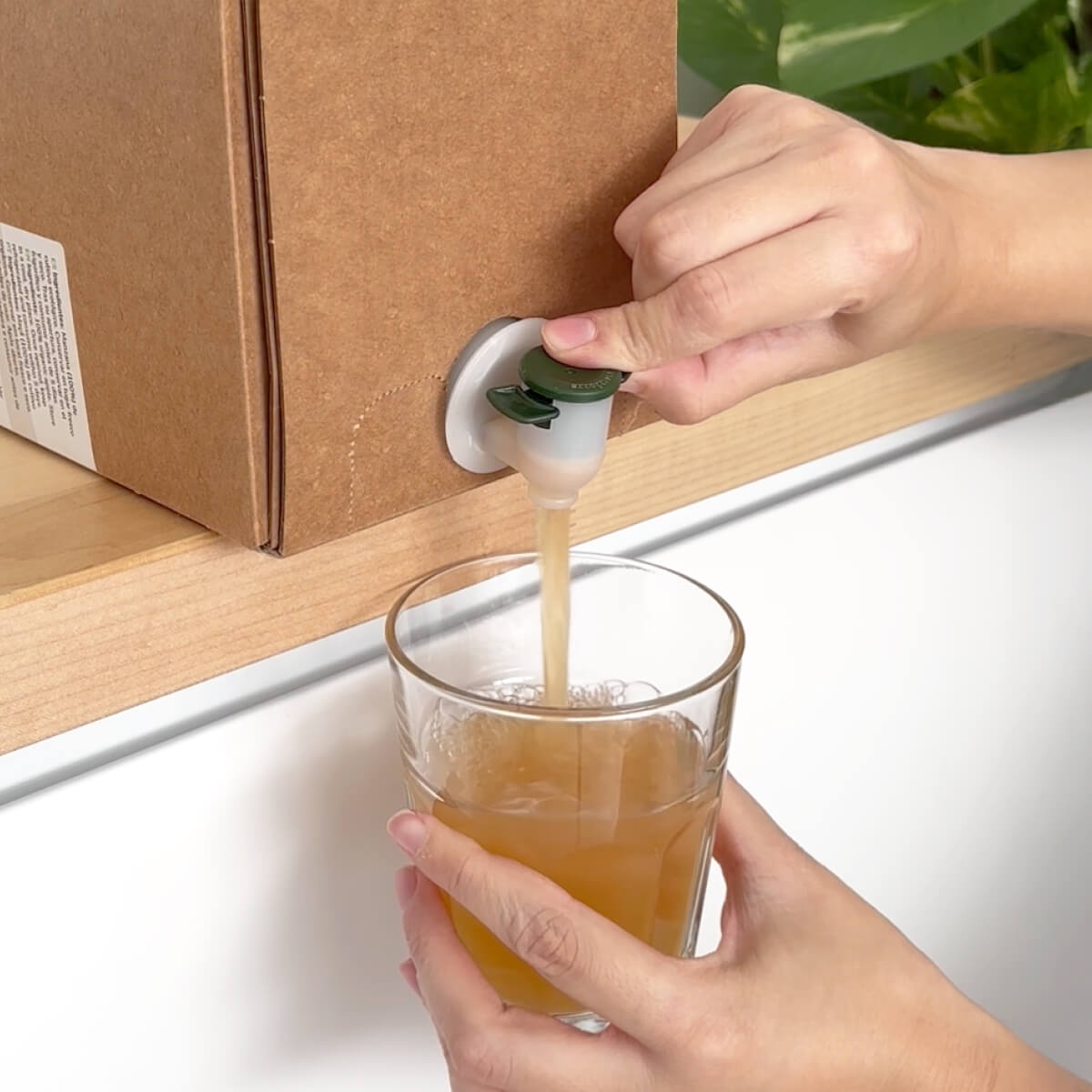 Zumo de Manzana 100% fruta exprimida Eco Bag in Box Planeta Huerto 3 L