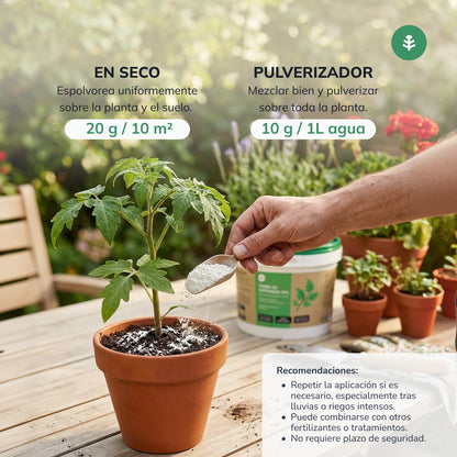 Pack of 3 x Planeta Huerto Diatomaceous Earth 2 kg