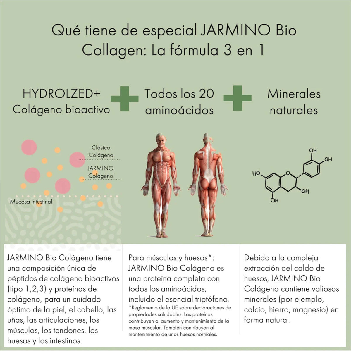 Collagène bio en poudre Jarmino 300 g