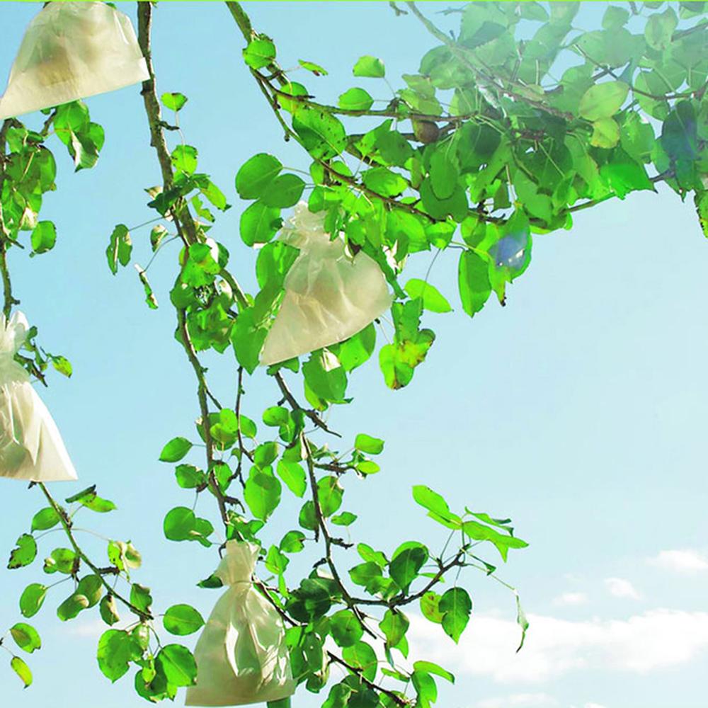 Skyddsöverdrag för frukt Fruitsac Nortene 50 st 20 x 30 cm.