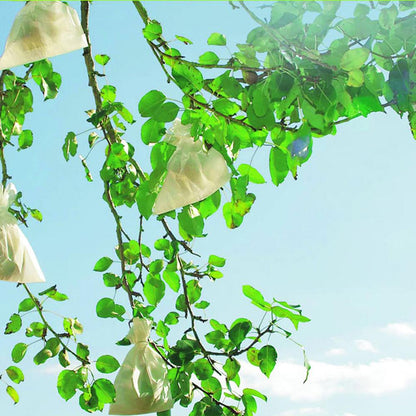 Skyddsöverdrag för frukt Fruitsac Nortene 50 st 20 x 30 cm.