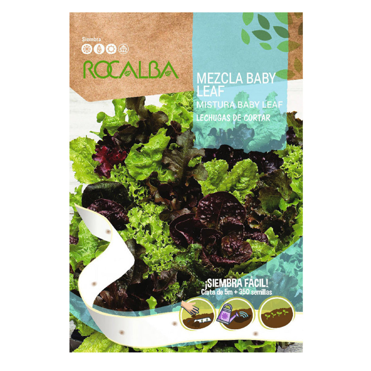 Baby Leaf-Salatsamen zum Schneiden, Rocalba