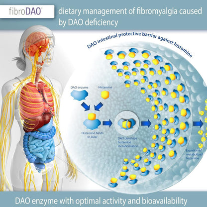 fibroDAO® 60 capsule con compresse gastroresistenti