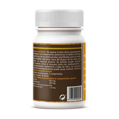 Salbei Sotya 100 Tabletten