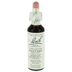 Bach 21 Senf 20 ml (Senf) Bach