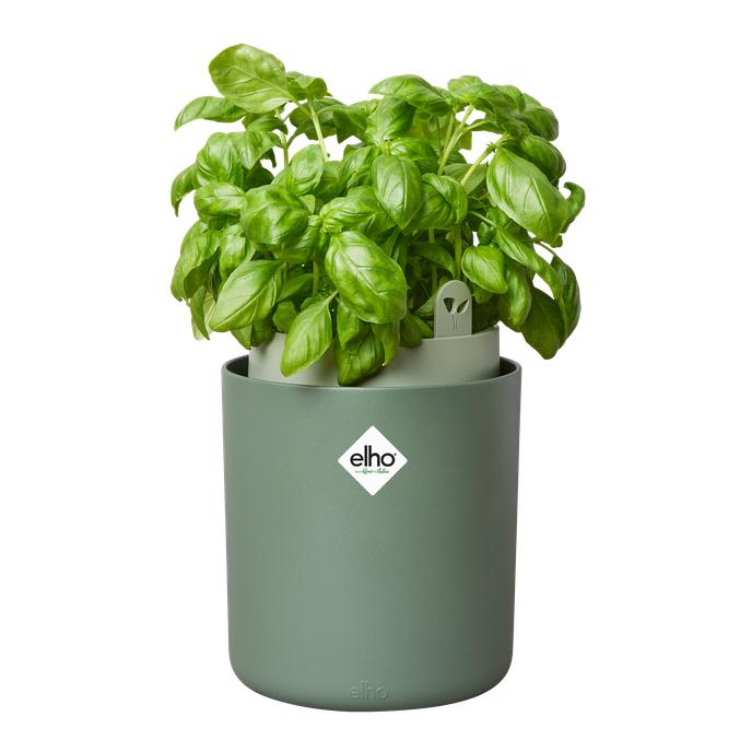 Selbstbewässernder Kräutertopf Bouncy Basil Elho Verde