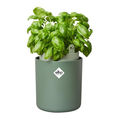 Selbstbewässernder Kräutertopf Bouncy Basil Elho Verde
