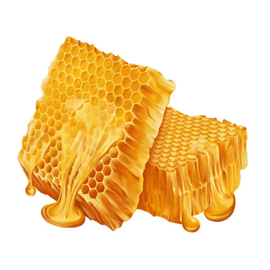 Volumenshampoo Honig und Bier 250 ml