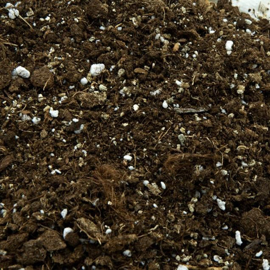 Universal Substrate for Carnivores 1 L