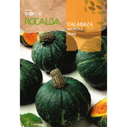 Semi di zucca Delica