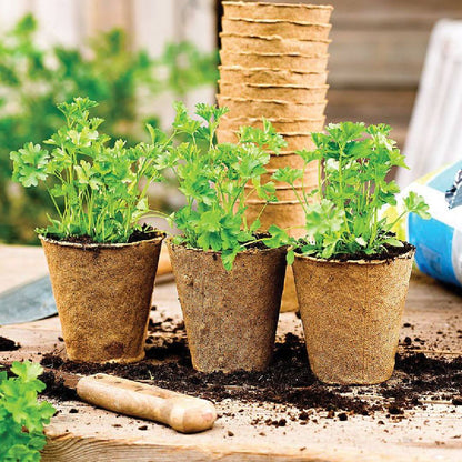 Sadzarka włóknista okrągła do rozsad Planeta Huerto 24 szt.