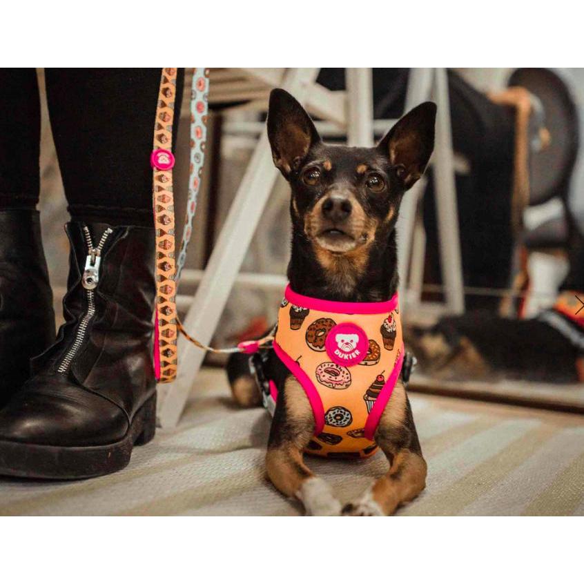 Wendbares Hundegeschirr CUPCAKES Dukier L