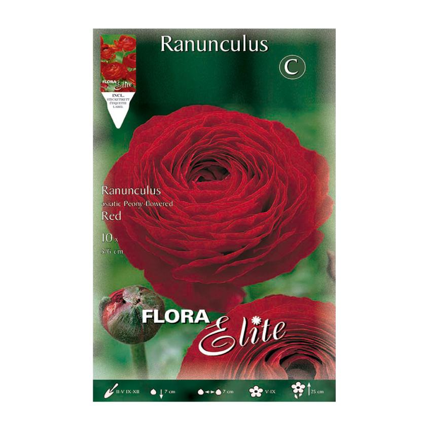 Bulbi Ranuncolo rosso 10 pz