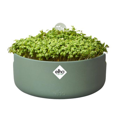 Germinator Magic Microgreens Elho Verde