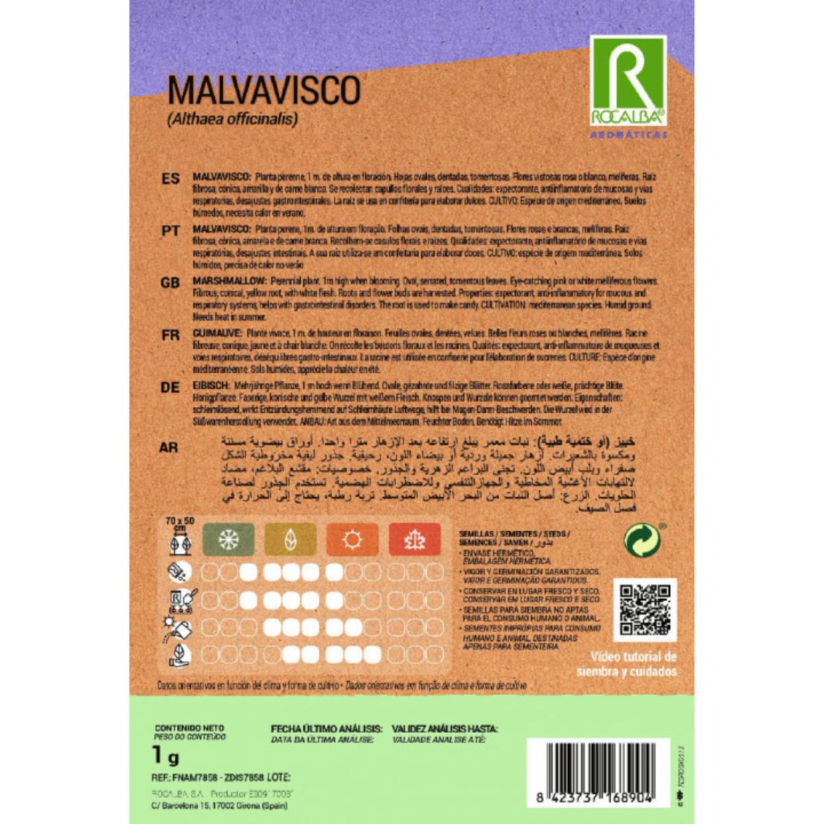 Semi di marshmallow