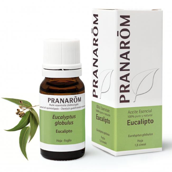 Eterisk olja Eucalyptus globulus Pranarom 10 ml