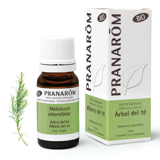 Olio essenziale di melaleuca biologico, Pranarôm 10 ml