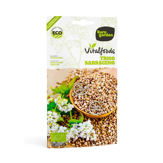 Ekologiska bovetfrön Vitalfoods