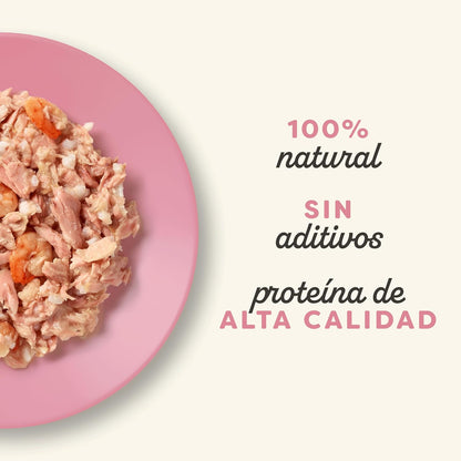 Applaws Cat Dose Thunfisch und Garnelen 70 g Natürliches, getreidefreies Nassfutter für Katzen