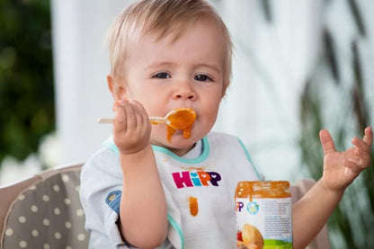 Burk med blandade frukter och ekologiska flingor +6 månader HiPP 190 g