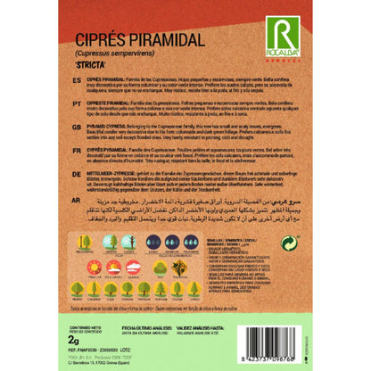 Samen der Pyramidenzypresse Immergrüne Zypressen