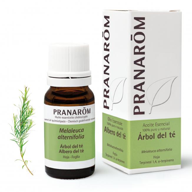 Olio essenziale di melaleuca Pranarôm 10 ml