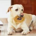 Gepresster Ring aus Kalbsleder Snack Natural Nobleza 20 Stück