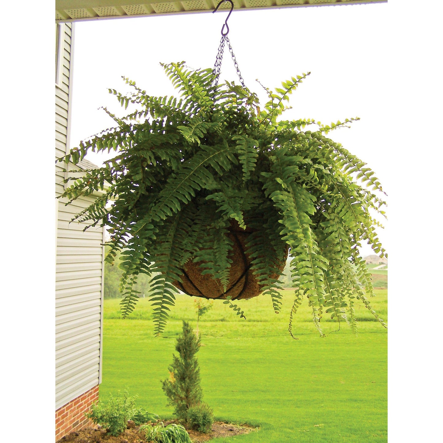 Halvrund hängande korg