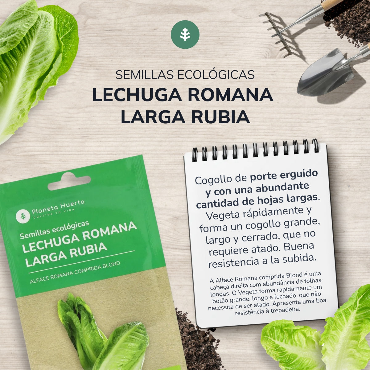 Ekologiska romansalladsfrön Planeta Huerto