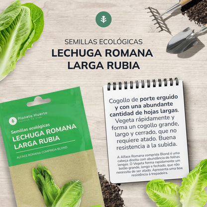 Ekologiska romansalladsfrön Planeta Huerto