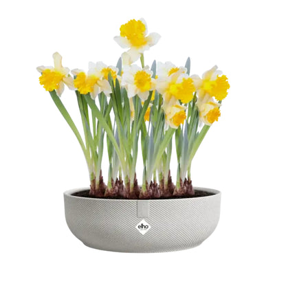 Bol rond Jazz bowl 28 cm Elho