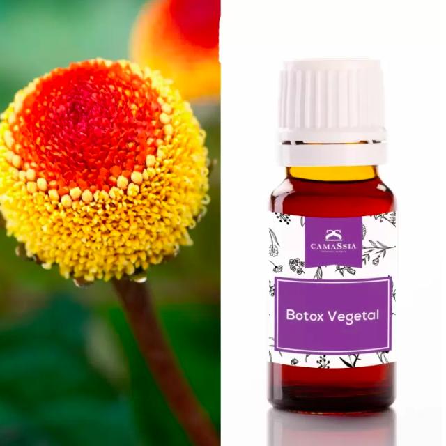 Pflanzliches Botox Wirkstoff, 10 ml. Camassia