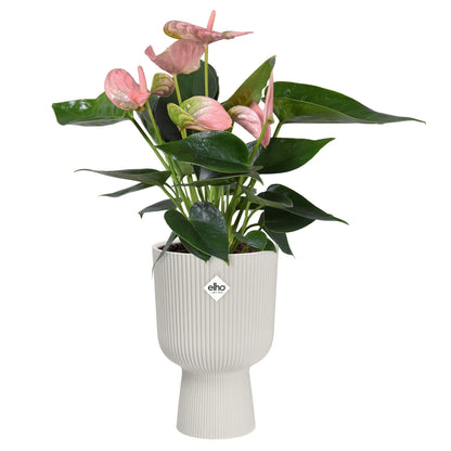 Vaso da fiori vibes fold coupe silky white Elho 14 cm